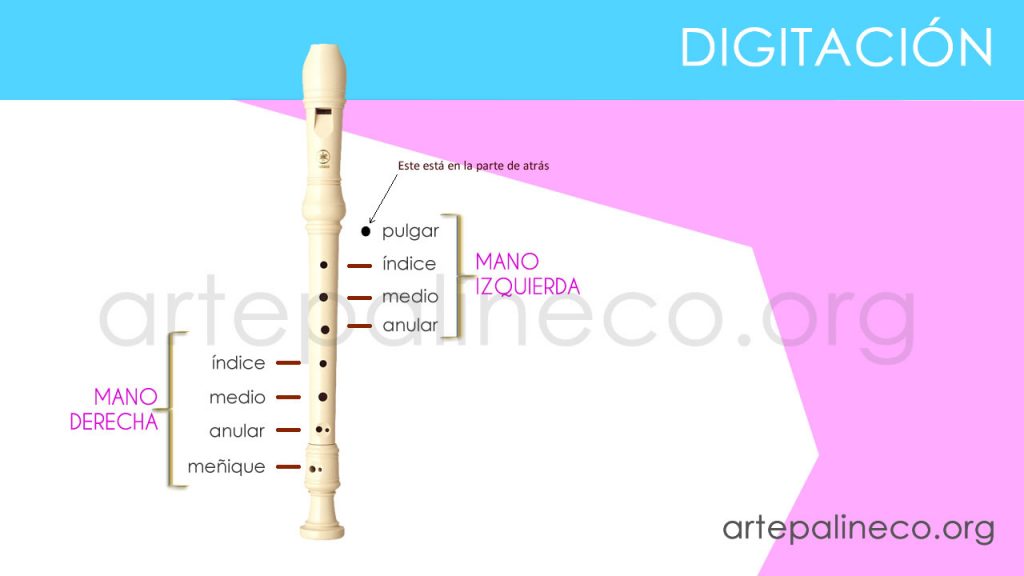 digitación en flauta