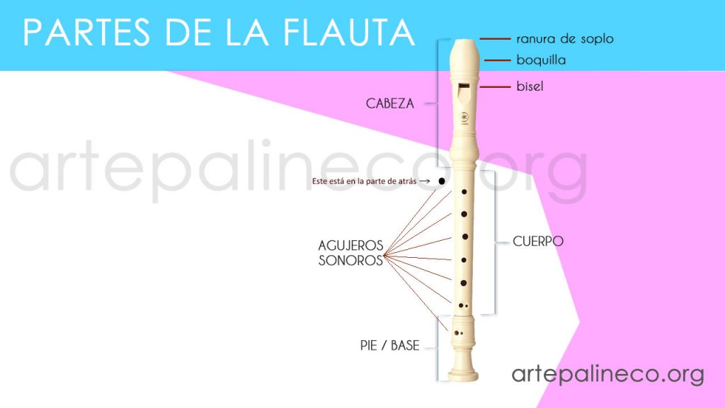 partes de la flauta
